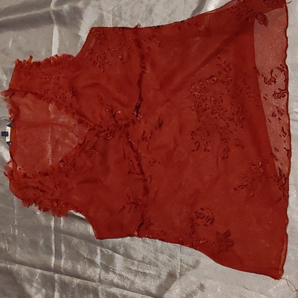 🐸Reitman's Sheer Blouse